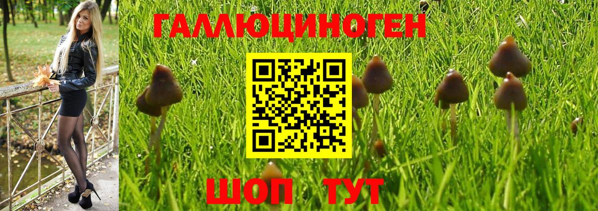 Сосновоборск  Галлюциногенные грибы Magic Shrooms  Вход с VPN 