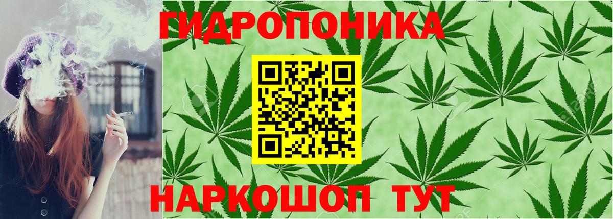 Каннабис THC 21%  Бошки Шишки AK-47  Вход с VPN  Сосновоборск  Бошки Шишки White Widow  Бошки Шишки план 